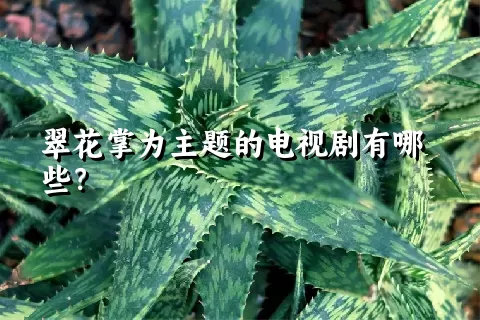 翠花掌为主题的电视剧有哪些？