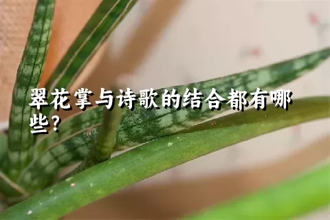 翠花掌与诗歌的结合都有哪些？