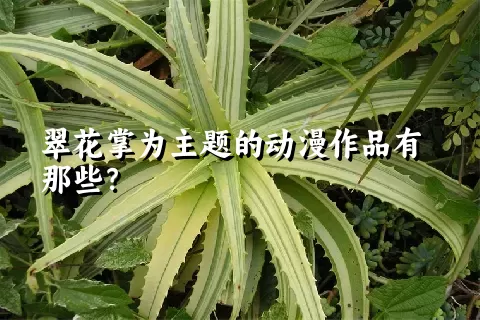 翠花掌为主题的动漫作品有那些？