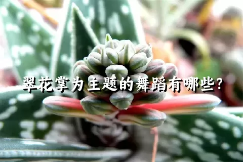 翠花掌为主题的舞蹈有哪些？