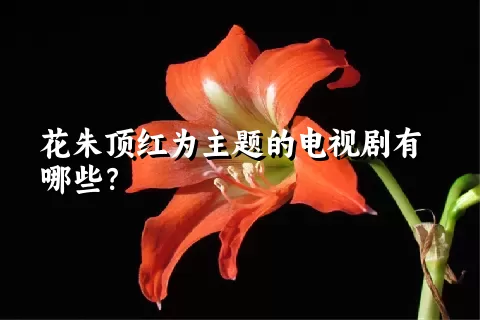 花朱顶红为主题的电视剧有哪些？