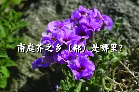 南庭芥之乡（都）是哪里？