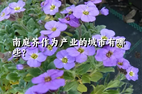 南庭芥作为产业的城市有哪些？