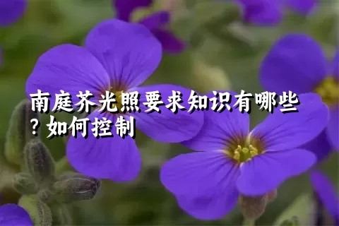 南庭芥光照要求知识有哪些？如何控制