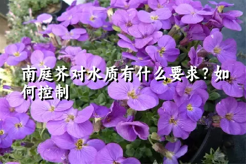 南庭芥对水质有什么要求？如何控制