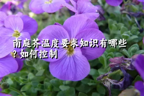 南庭芥温度要求知识有哪些？如何控制