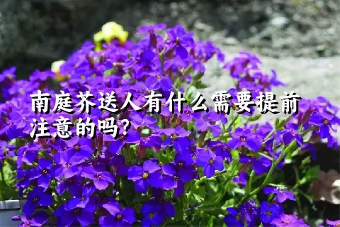 南庭芥送人有什么需要提前注意的吗？