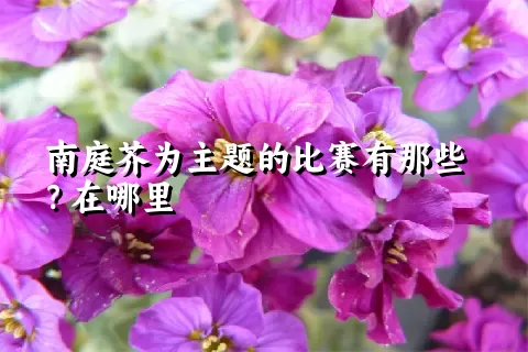 南庭芥为主题的比赛有那些？在哪里