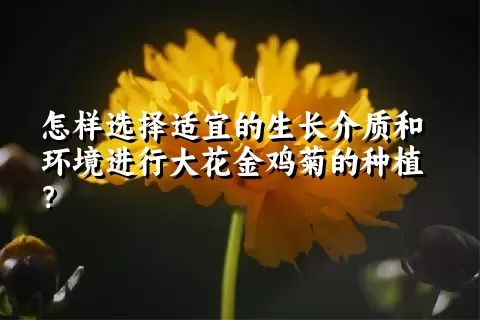 怎样选择适宜的生长介质和环境进行大花金鸡菊的种植？