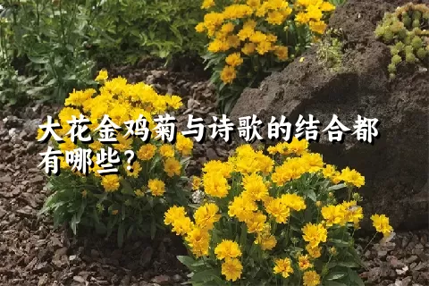 大花金鸡菊与诗歌的结合都有哪些？