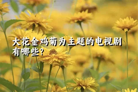 大花金鸡菊为主题的电视剧有哪些？