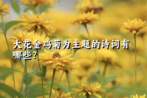 大花金鸡菊为主题的诗词有哪些？