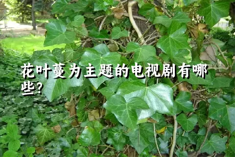 花叶蔓为主题的电视剧有哪些？