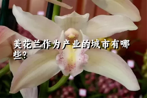 美花兰作为产业的城市有哪些？