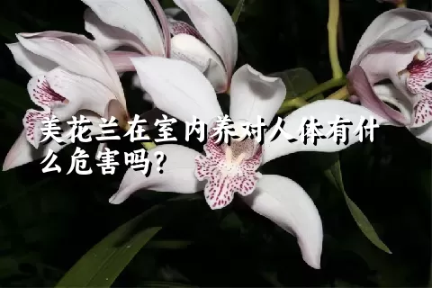 美花兰在室内养对人体有什么危害吗？