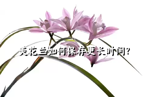 美花兰如何保存更长时间？