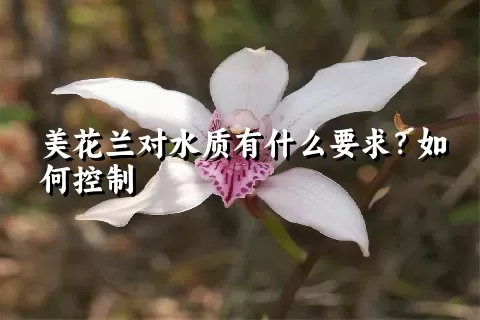 美花兰对水质有什么要求？如何控制