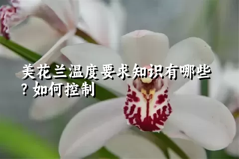 美花兰温度要求知识有哪些？如何控制