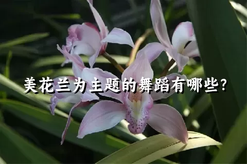 美花兰为主题的舞蹈有哪些？