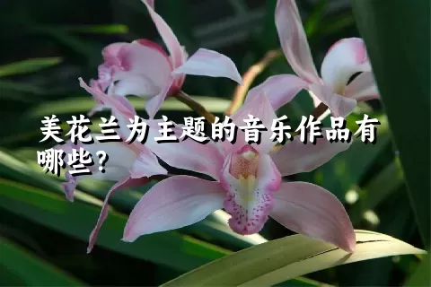 美花兰为主题的音乐作品有哪些？