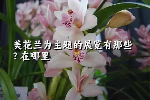 美花兰为主题的展览有那些？在哪里