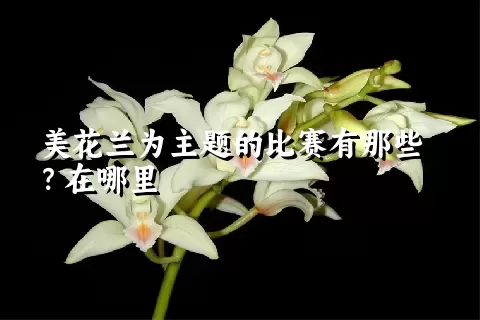 美花兰为主题的比赛有那些？在哪里