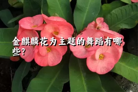 金麒麟花为主题的舞蹈有哪些？