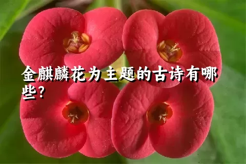 金麒麟花为主题的古诗有哪些？