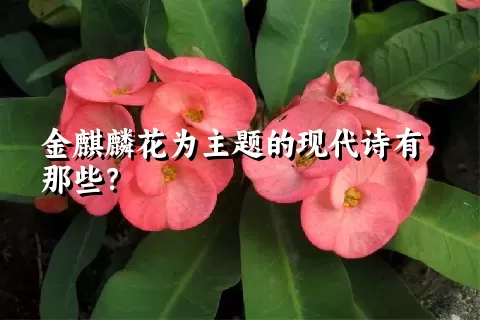 金麒麟花为主题的现代诗有那些？