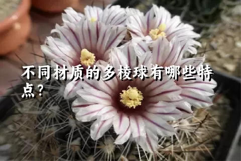 不同材质的多棱球有哪些特点？