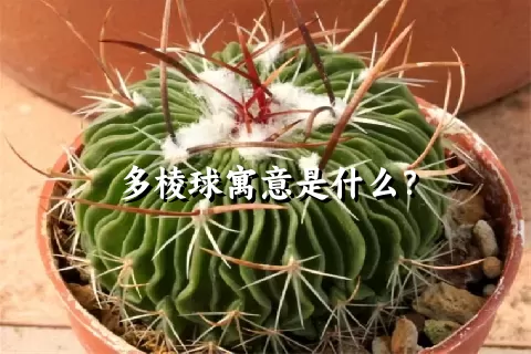 多棱球寓意是什么？