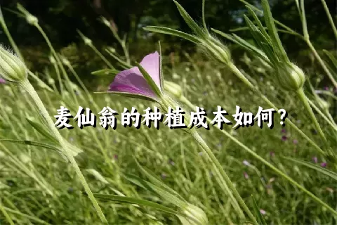 麦仙翁的种植成本如何？