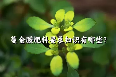 蔓金腰肥料要求知识有哪些？