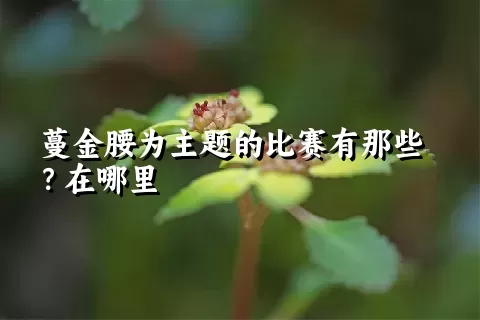 蔓金腰为主题的比赛有那些？在哪里