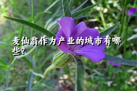 麦仙翁作为产业的城市有哪些？