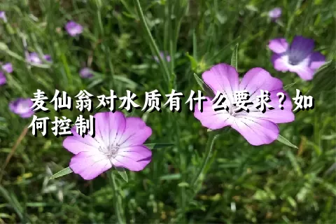 麦仙翁对水质有什么要求？如何控制