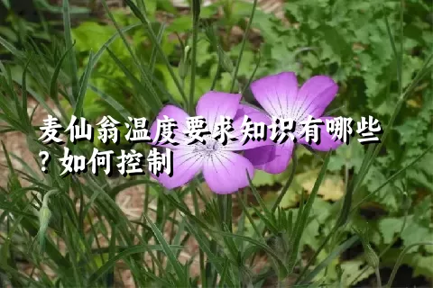 麦仙翁温度要求知识有哪些？如何控制