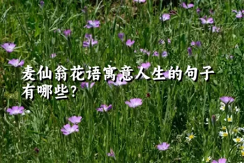 麦仙翁花语寓意人生的句子有哪些？