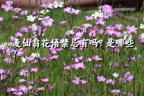 麦仙翁花语禁忌有吗？是哪些？