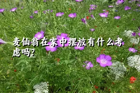 麦仙翁在家中摆放有什么考虑吗？