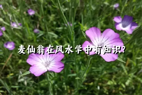 麦仙翁在风水学中有知识？