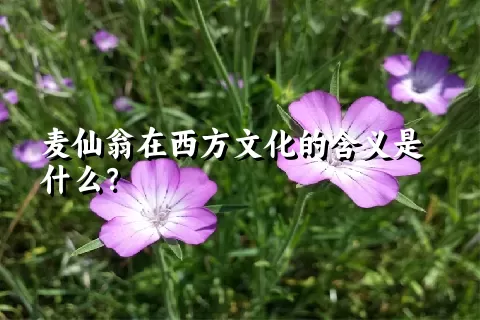 麦仙翁在西方文化的含义是什么？