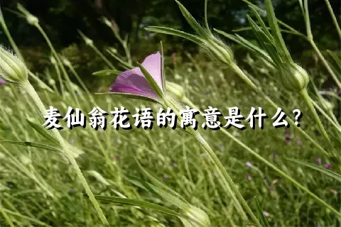 麦仙翁花语的寓意是什么？