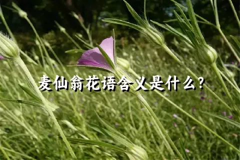 麦仙翁花语含义是什么？