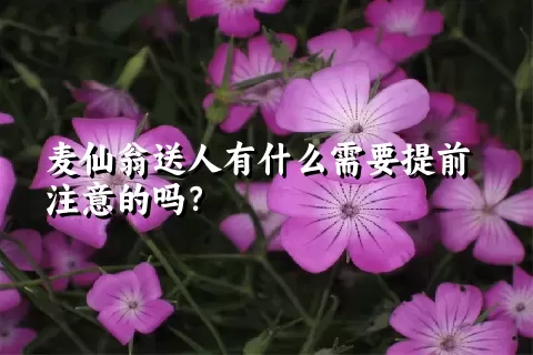 麦仙翁送人有什么需要提前注意的吗？