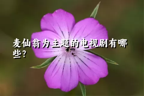 麦仙翁为主题的电视剧有哪些？