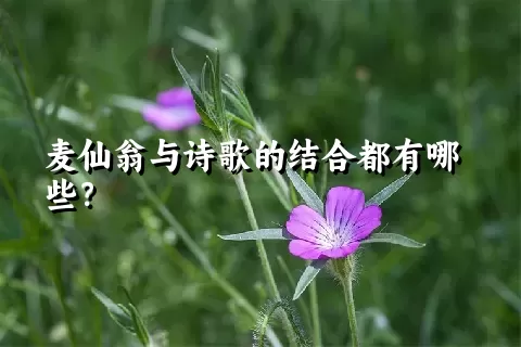 麦仙翁与诗歌的结合都有哪些？