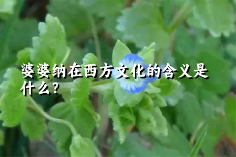 婆婆纳在西方文化的含义是什么？