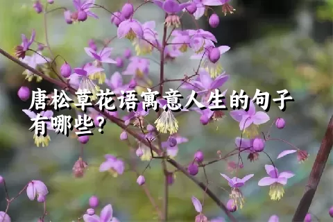 唐松草花语寓意人生的句子有哪些？