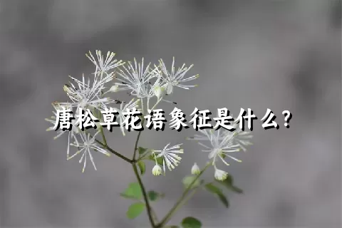 唐松草花语象征是什么？